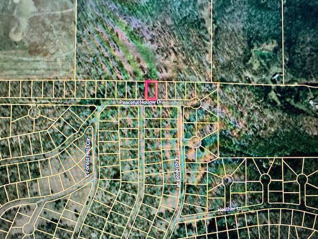 Horseshoe Bend, AR 72512,2414 Peaceful Hollow DR
