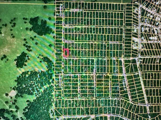 Horseshoe Bend, AR 72512,1518 Raven ST