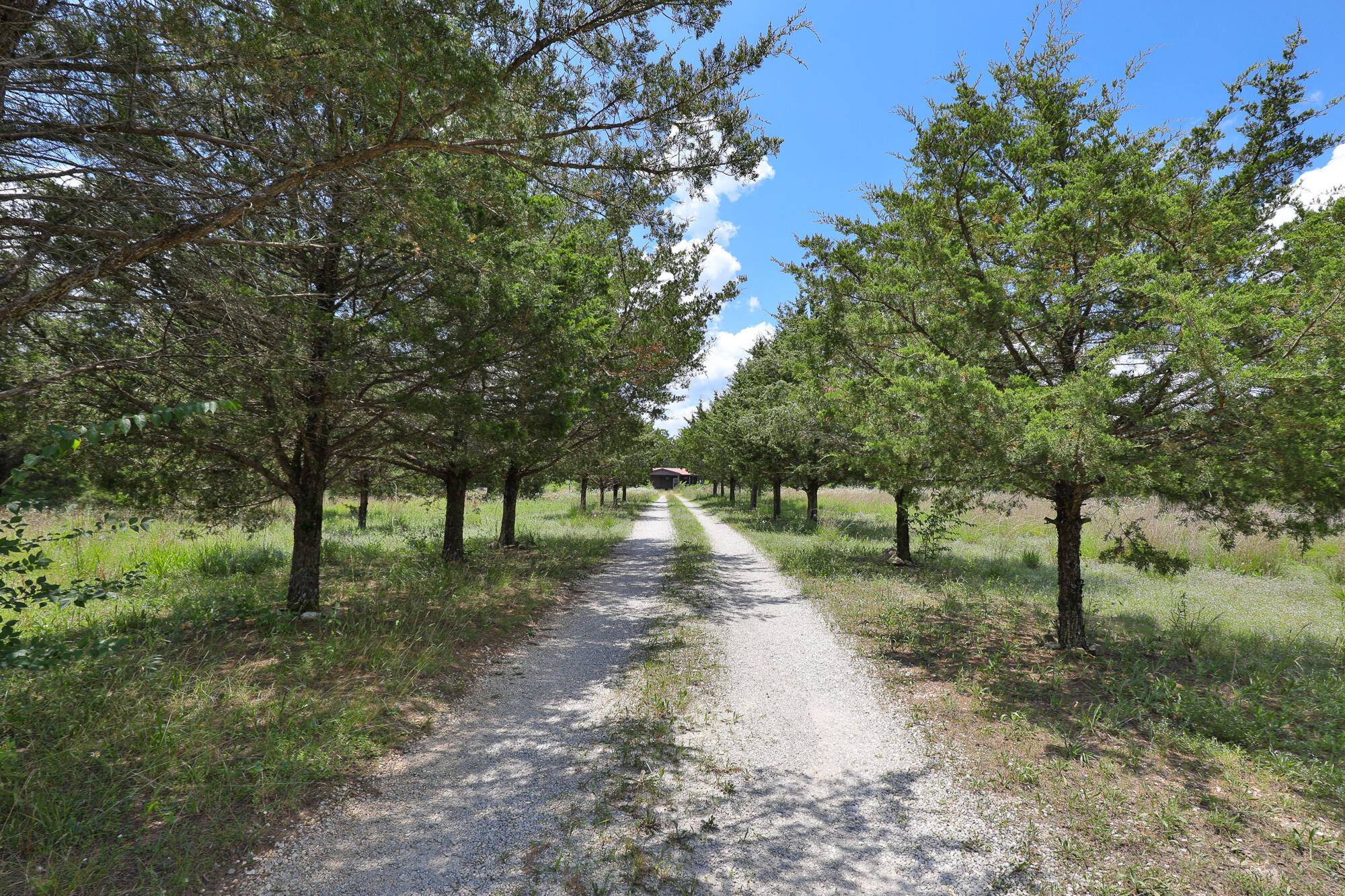 Elkland, MO 65644,628 State  Road F
