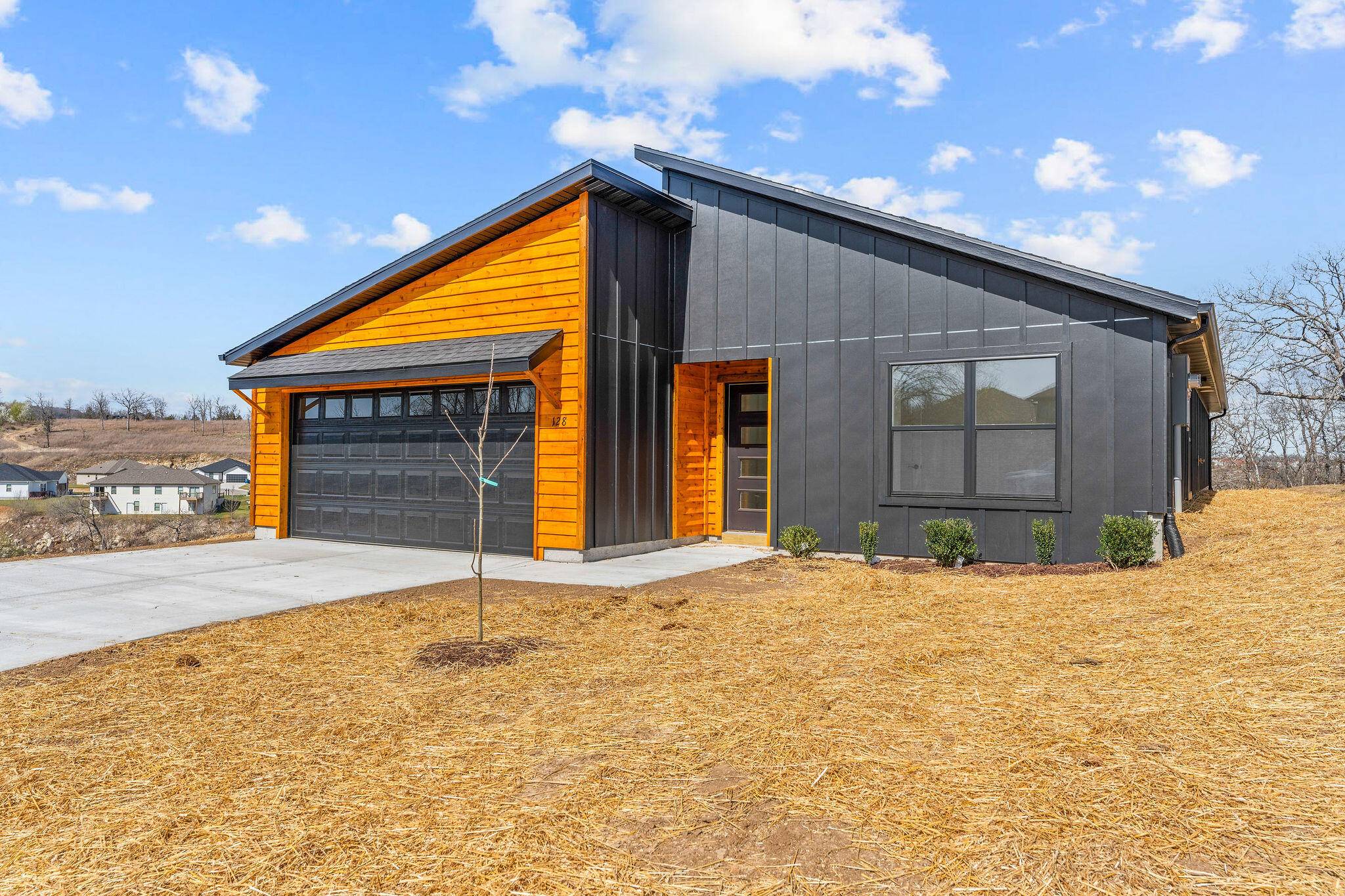 Branson, MO 65616,128 Sapling DR