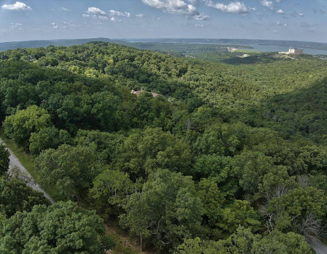 Branson, MO 65616,162 Lone Pine RD