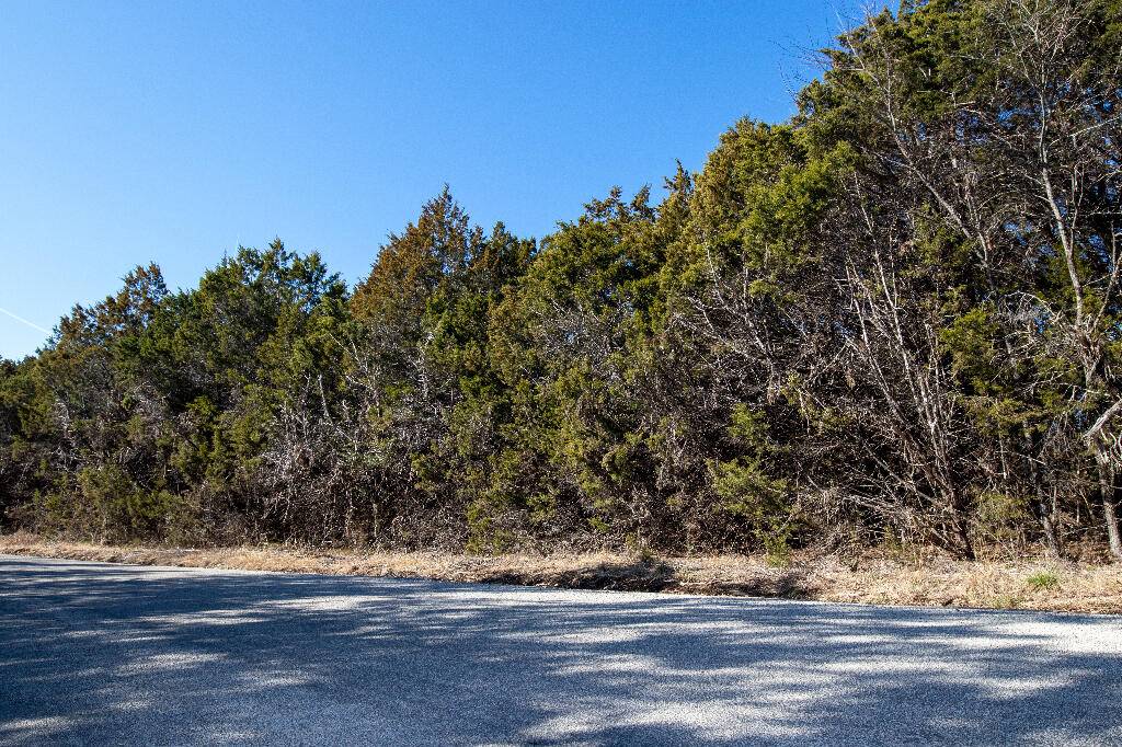 Kissee Mills, MO 65680,255 Bass ST