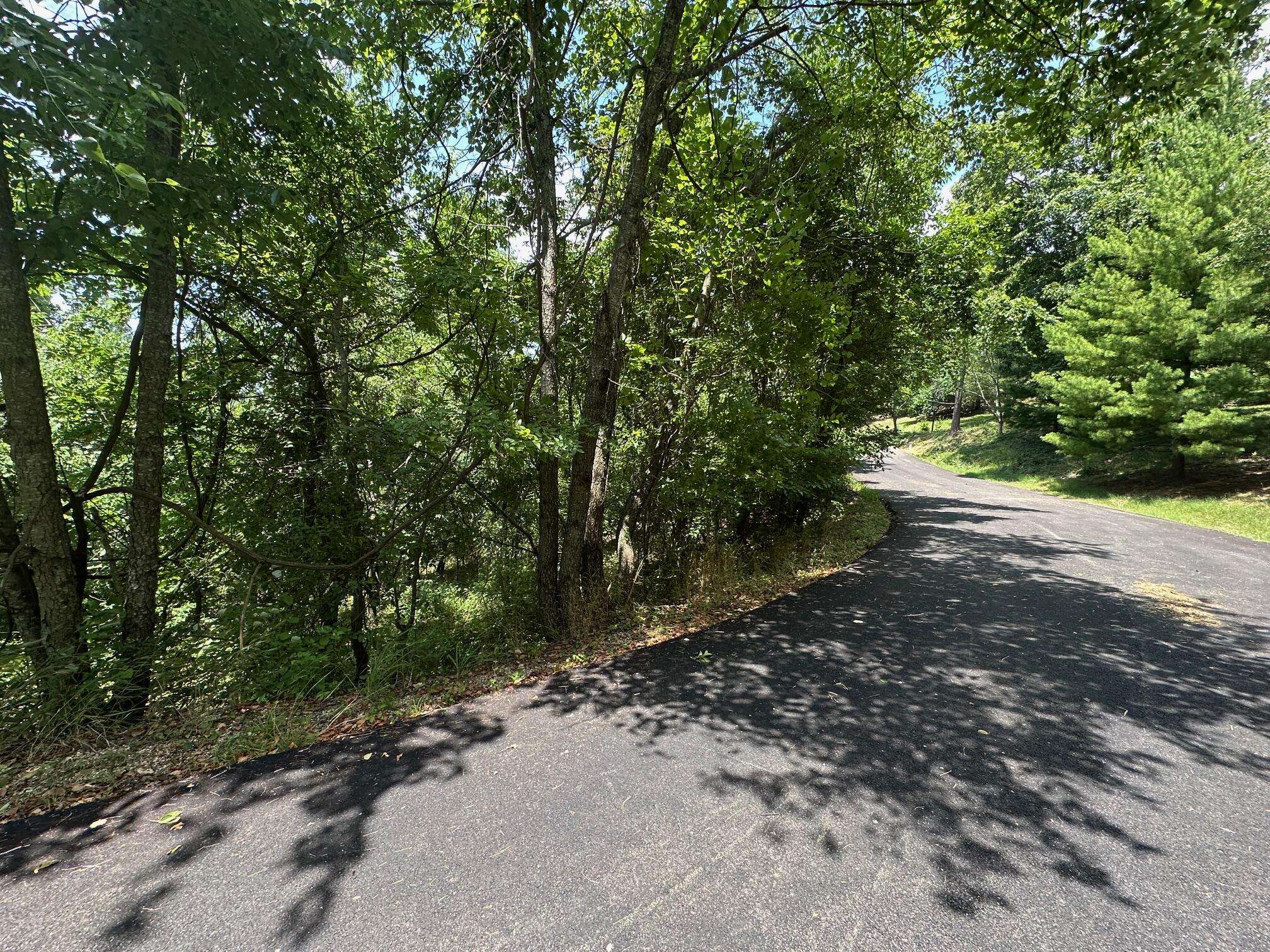 Kimberling City, MO 65686,Lot 10 Paola LN
