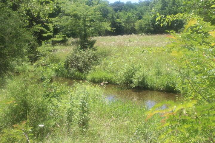 Polk, MO 65727,3176 S 170th RD