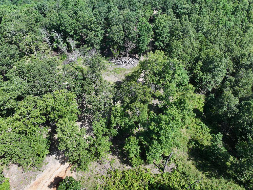 Gainesville, MO 65655,000 County Road 630 #Section A