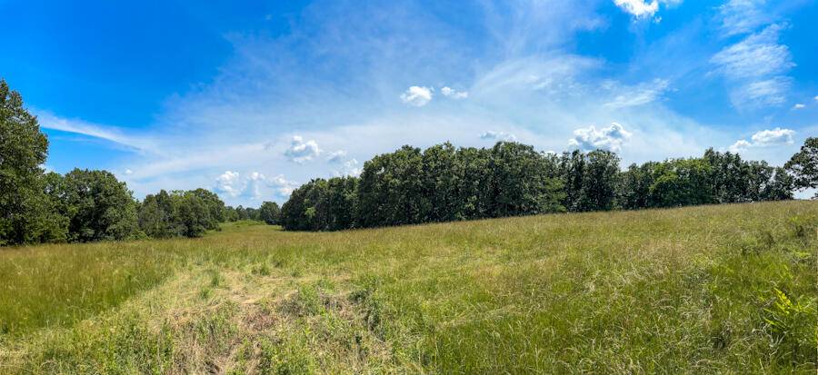 Mansfield, MO 65704,2250 Old London LN