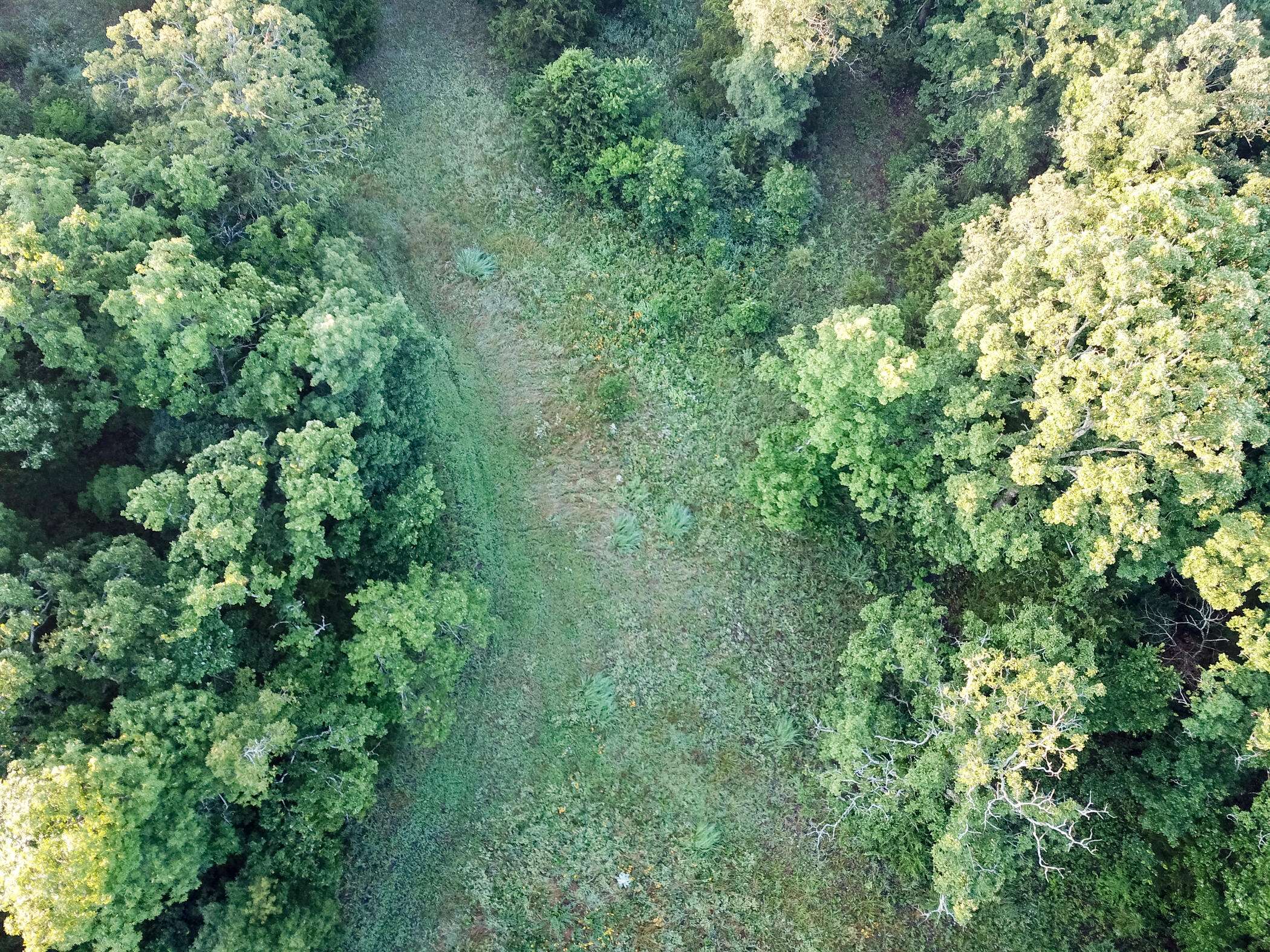 Roscoe, MO 64781,4550 Sw 151 RD