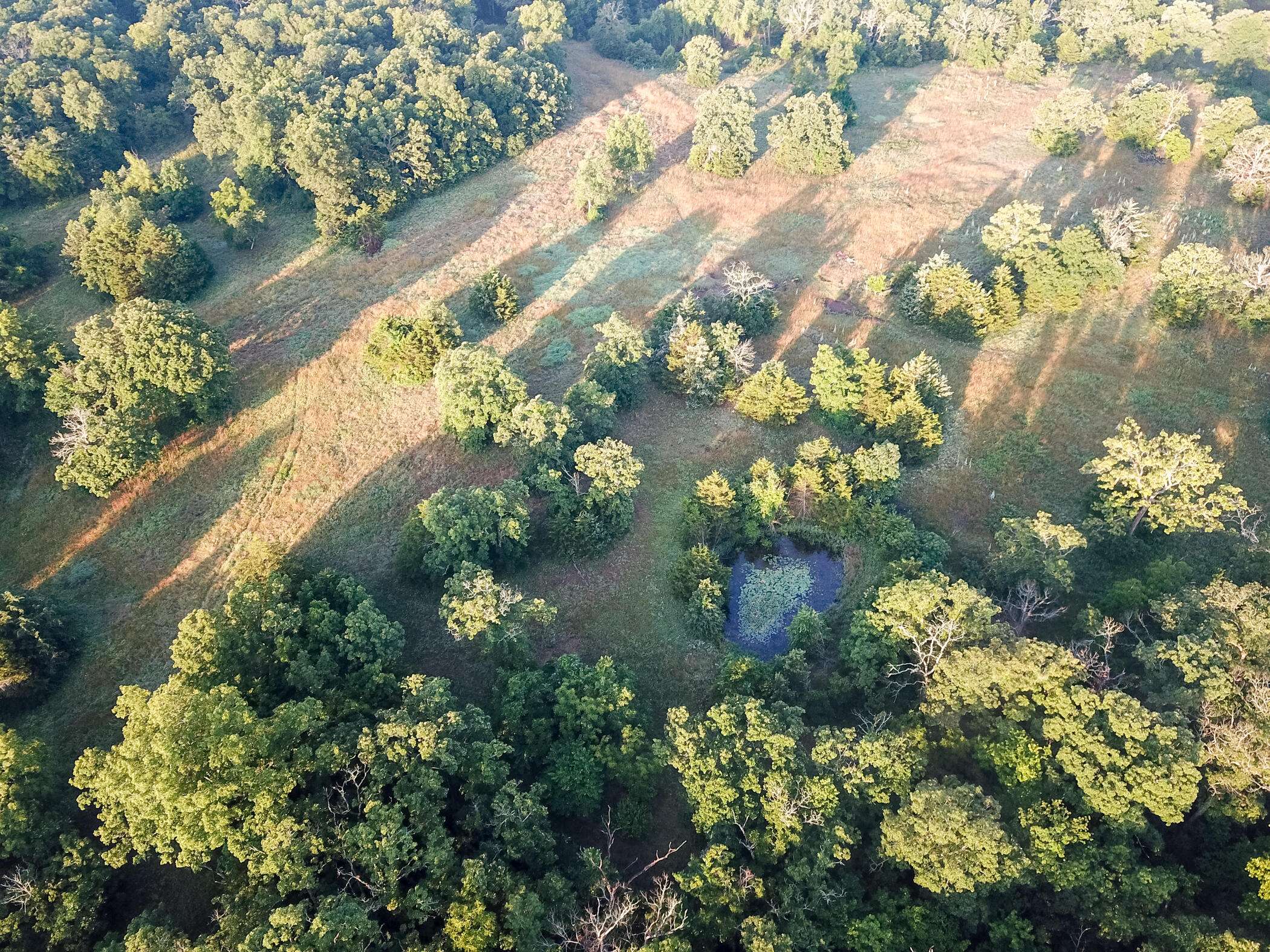Roscoe, MO 64781,4550 Sw 151 RD