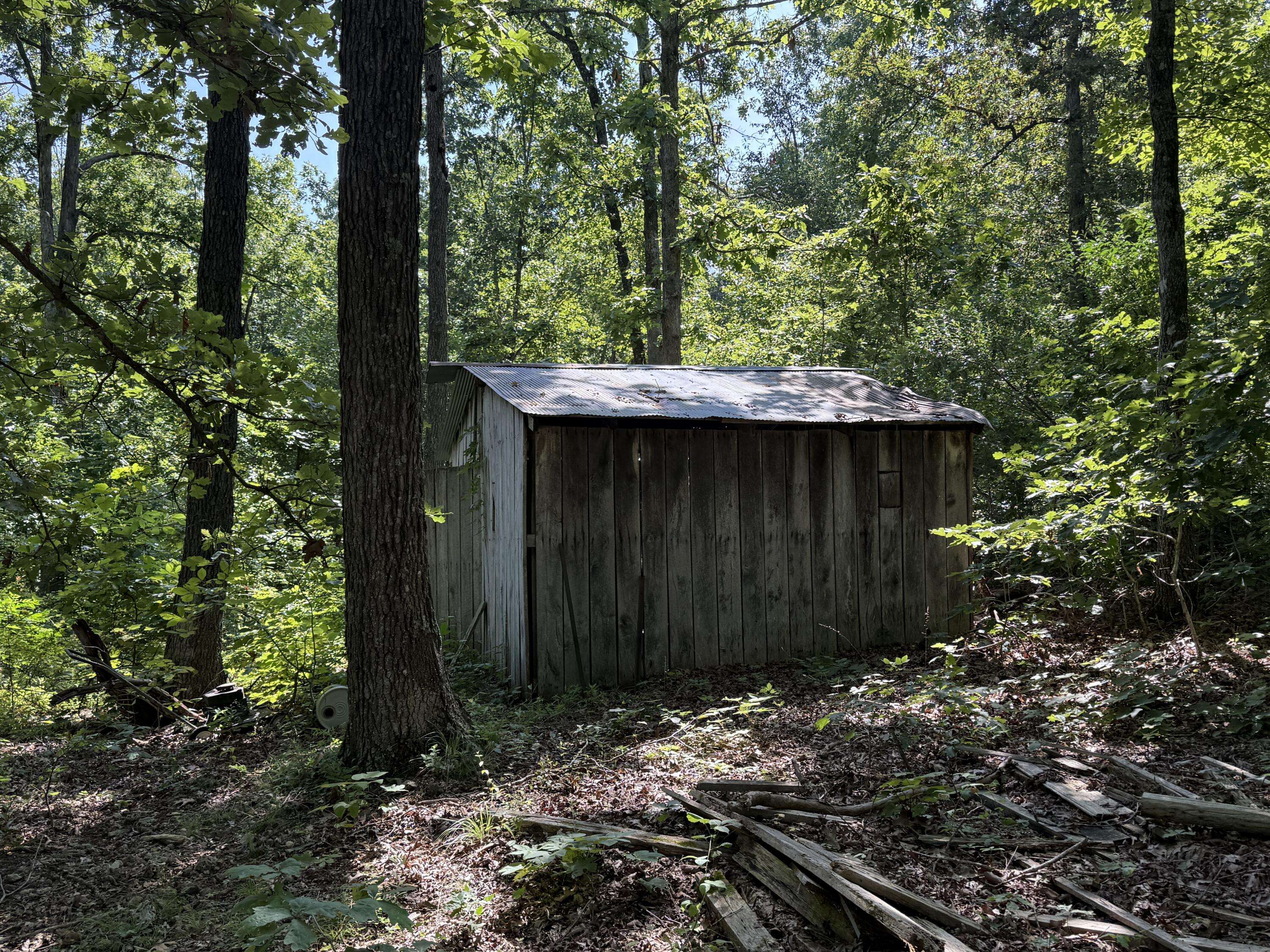 Mountain Grove, MO 65711,000 Mulberry Drive
