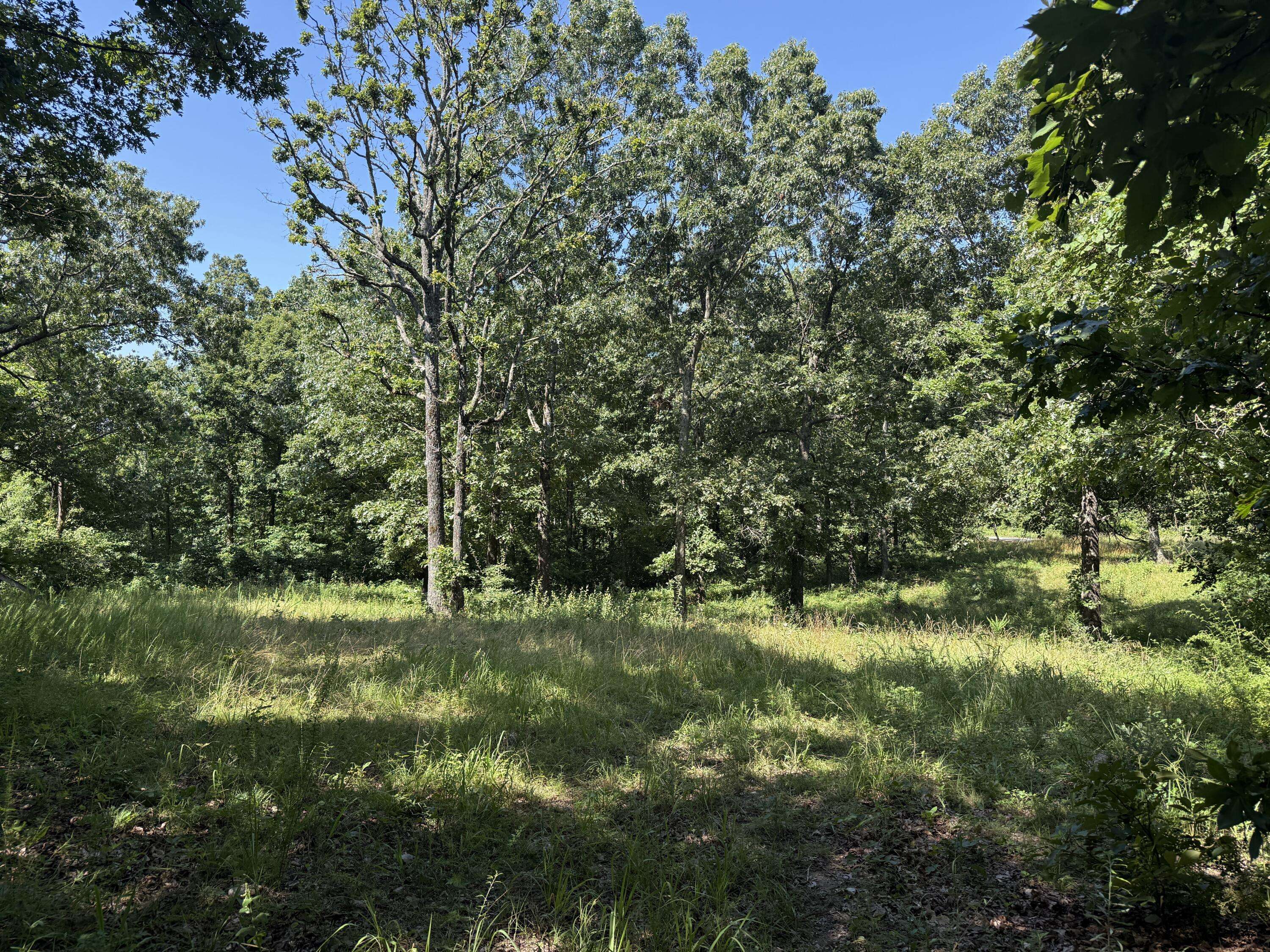 Mountain Grove, MO 65711,000 Mulberry Drive
