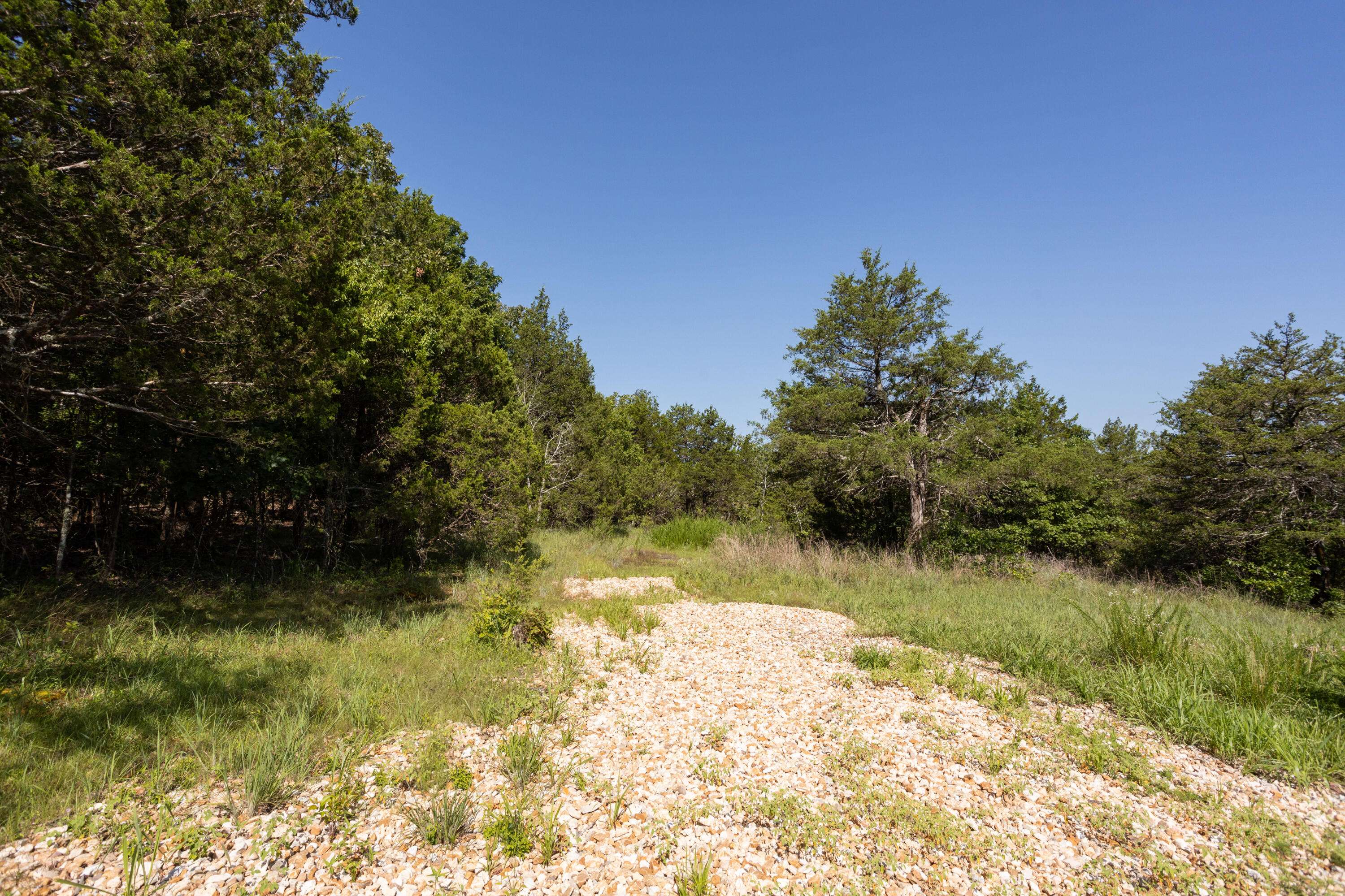 Theodosia, MO 65761,000 County Road 646