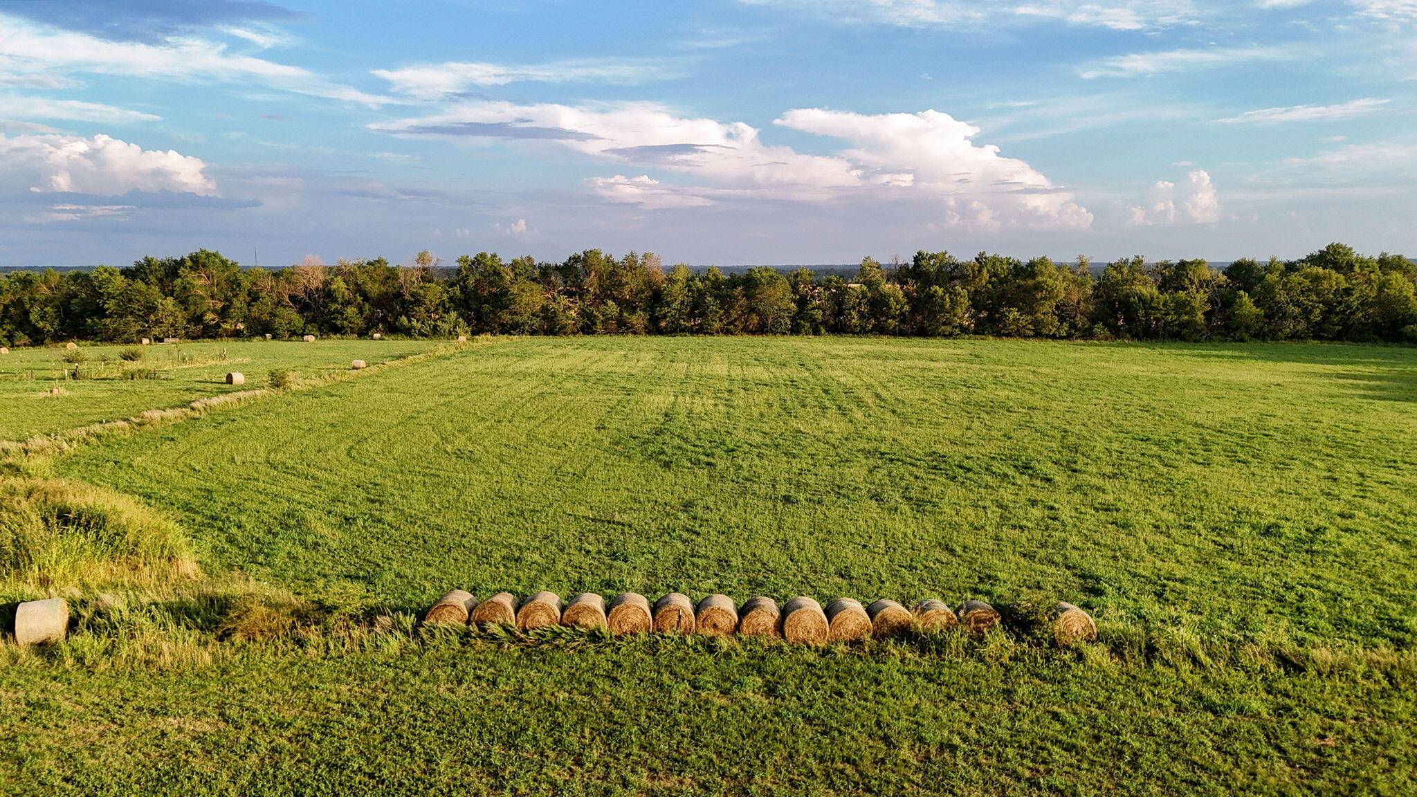 Bois D Arc, MO 65612,000 W Farm Road 124