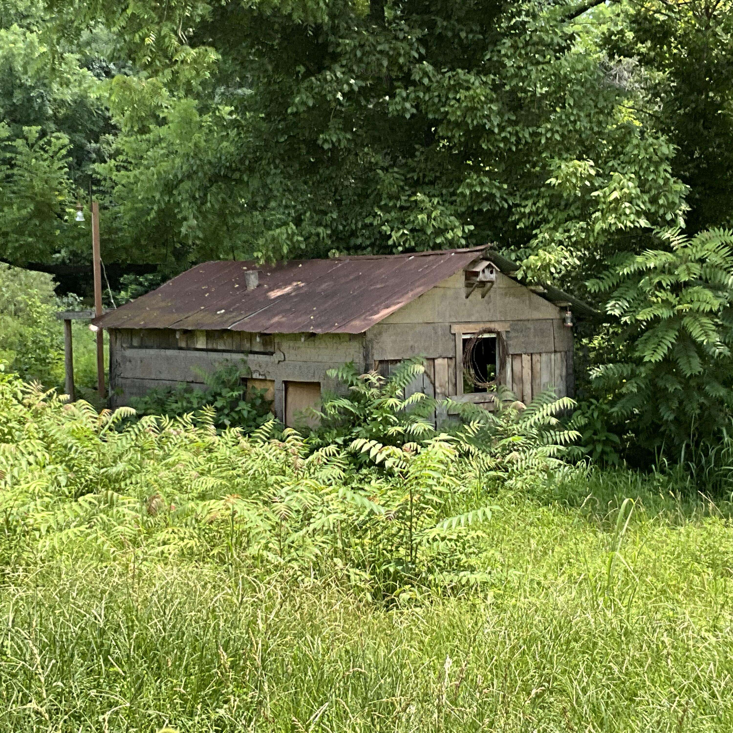 Thayer, MO 65791,112 County Road 355