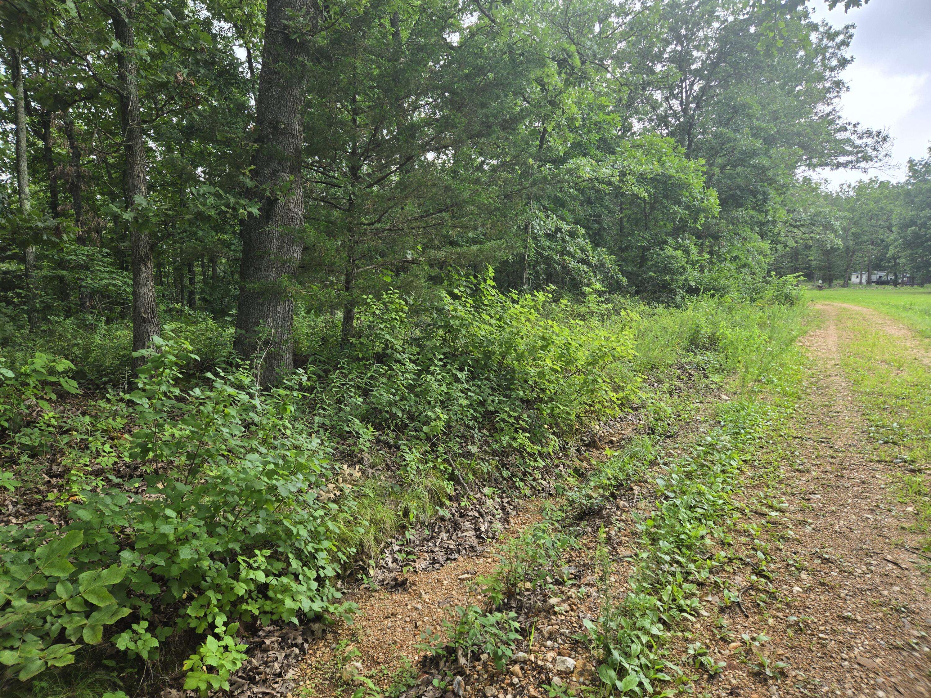 Cross Timbers, MO 65634,Tbd County Road 481w