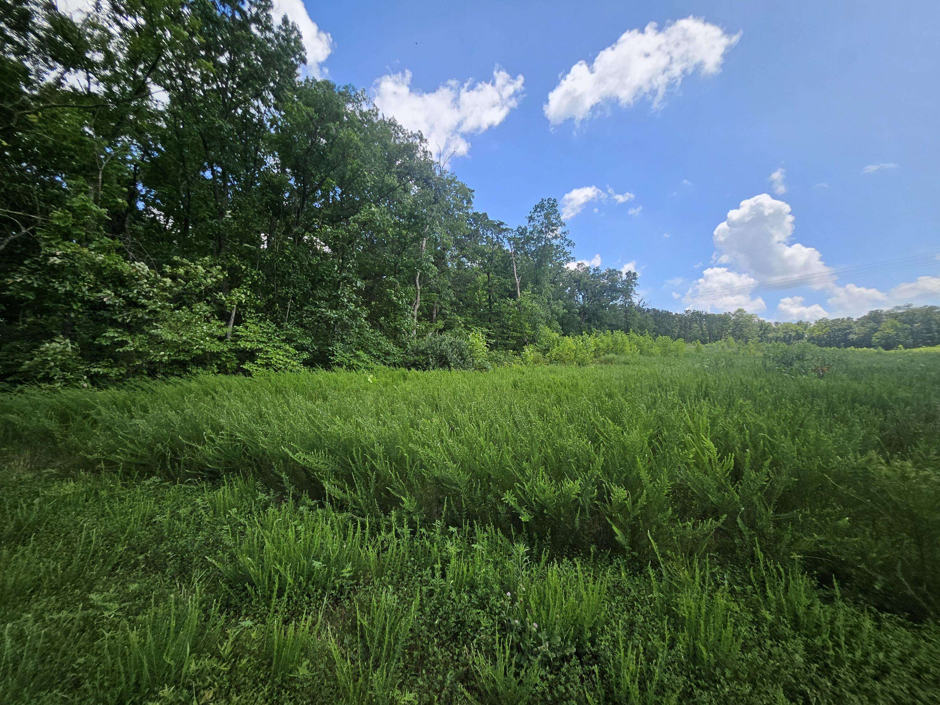Joplin, MO 64801,000 Dogwood Lane