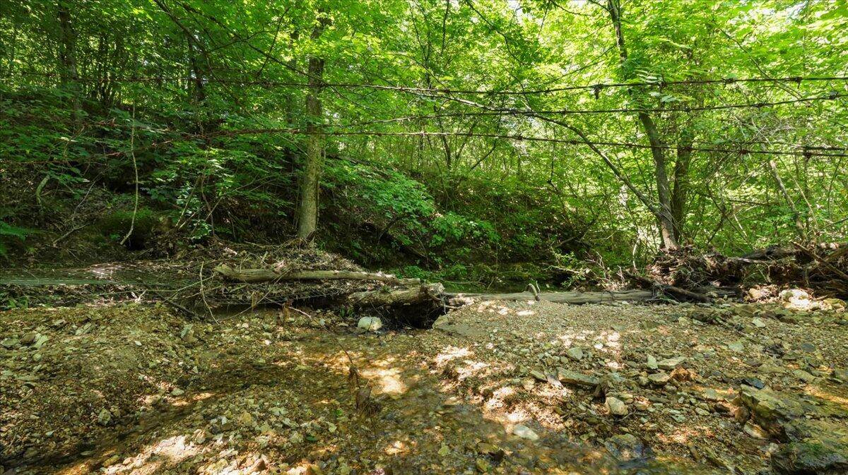 Ava, MO 65608,000 County Road 76-114