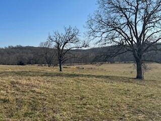 Mountain Grove, MO 65711,000 South 95 Highway