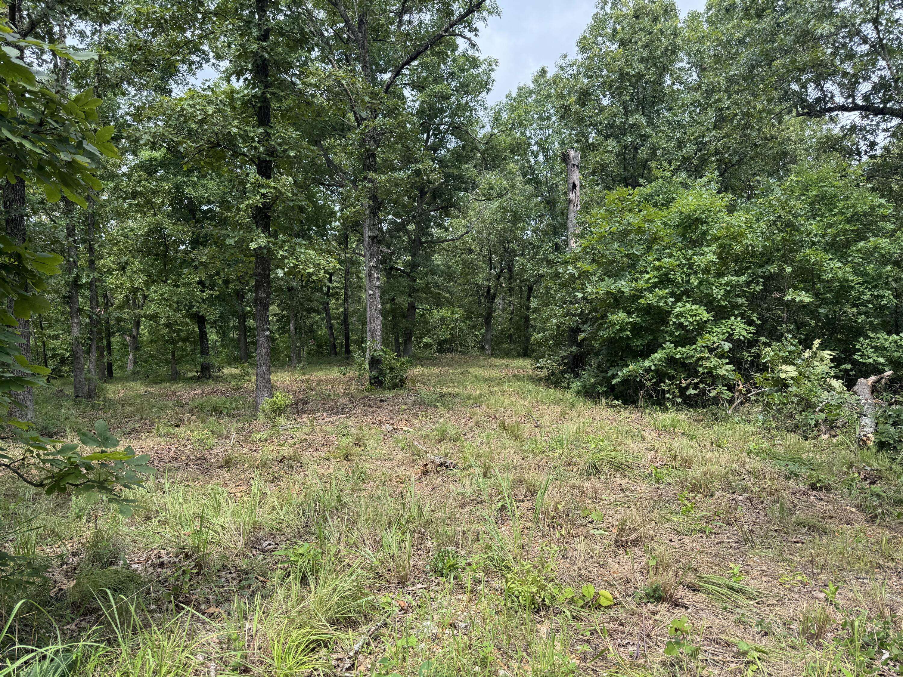 Tunas, MO 65764,00 Post Oak