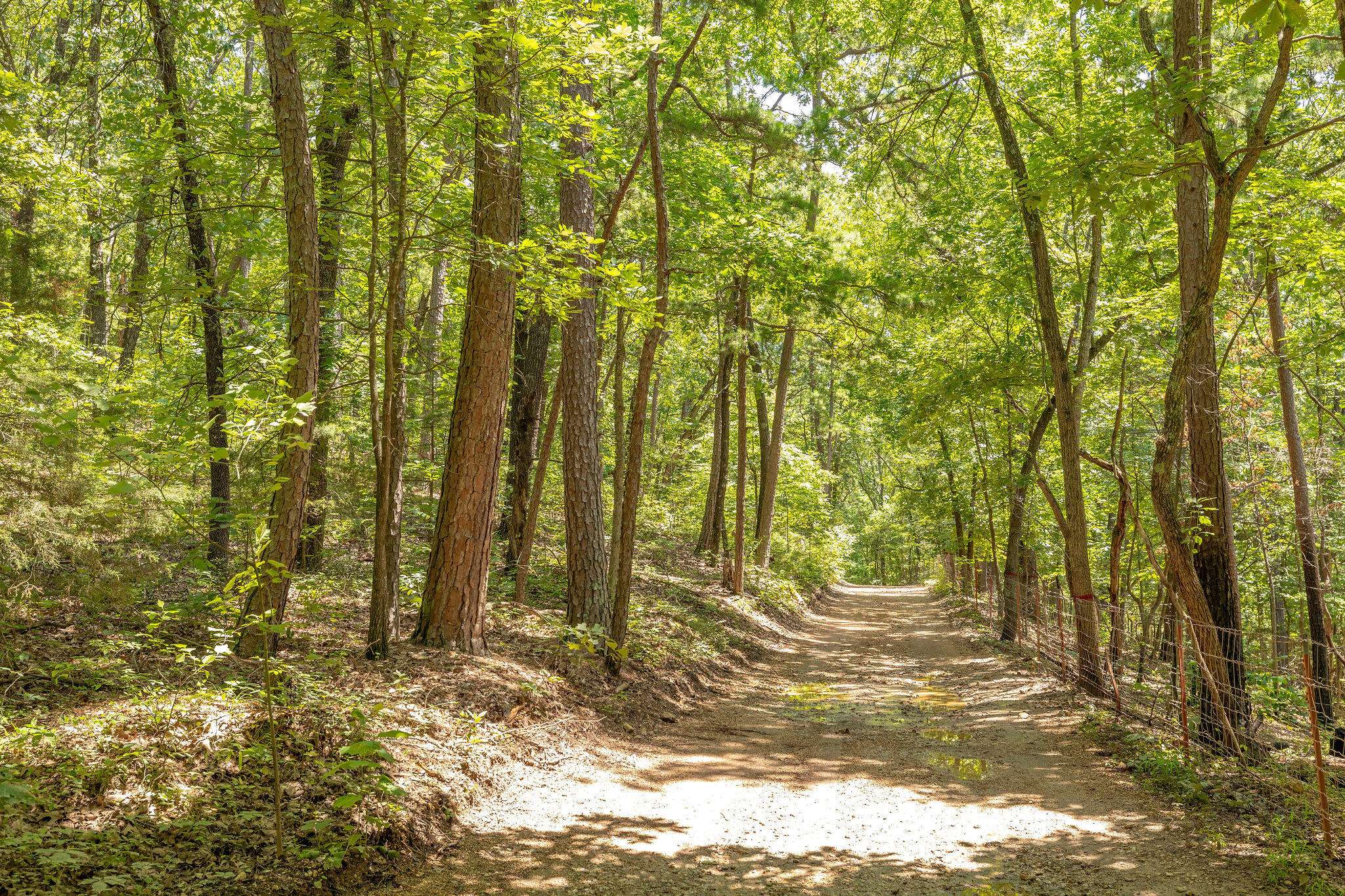 Ridgedale, MO 65739,Tbd 40 Ravenwood WAY