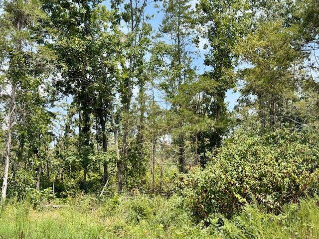 Ava, MO 65608,000 State Highway O
