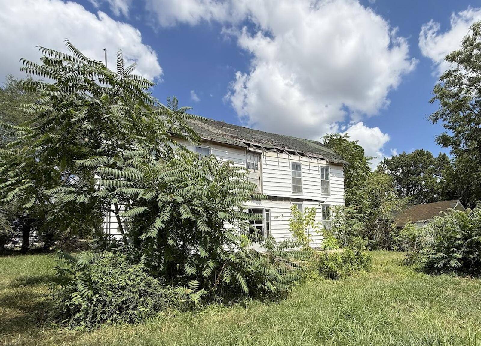 Everton, MO 65646,203 E Springfield ST