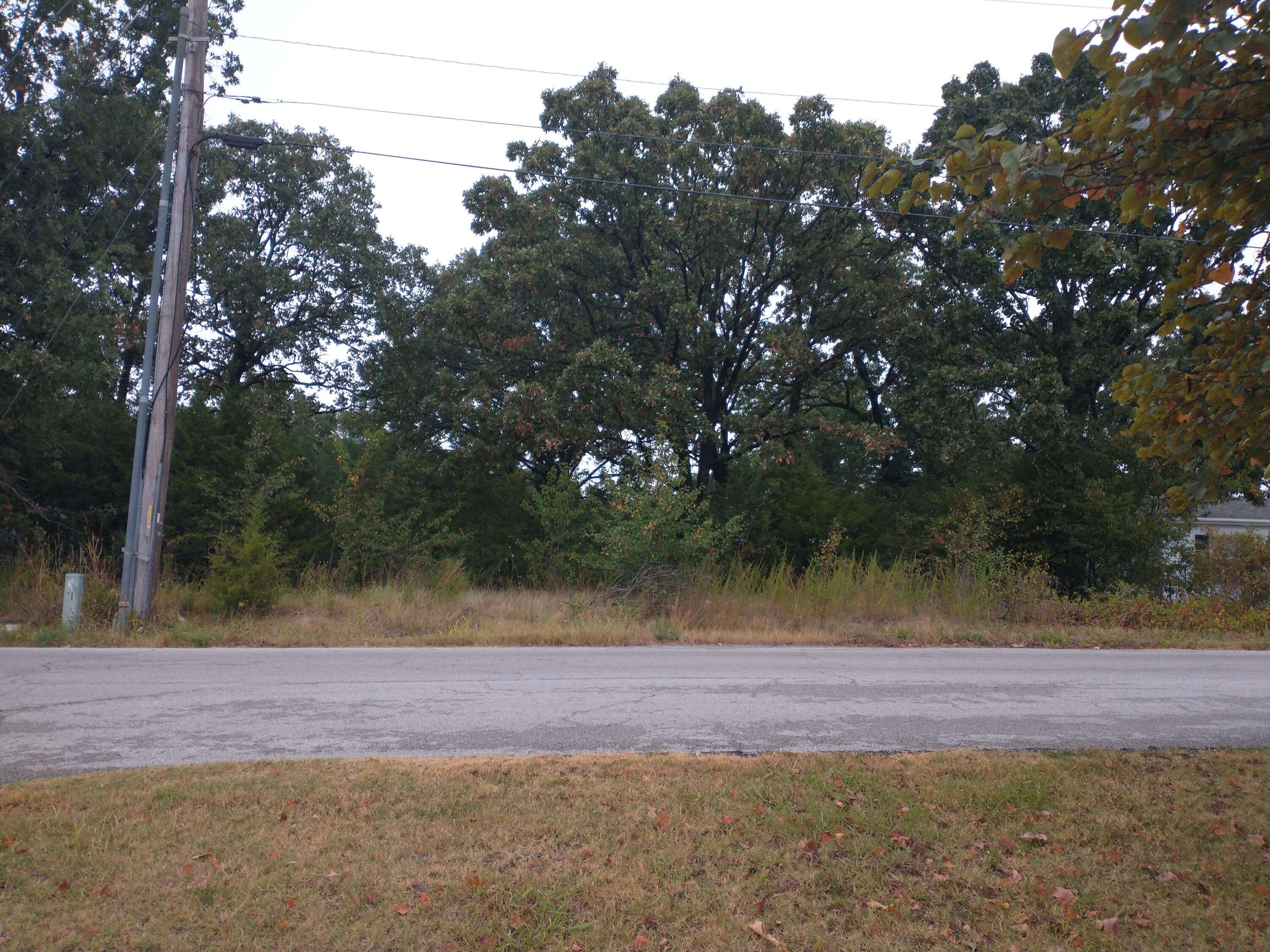 Branson, MO 65616,237 Dakota RD