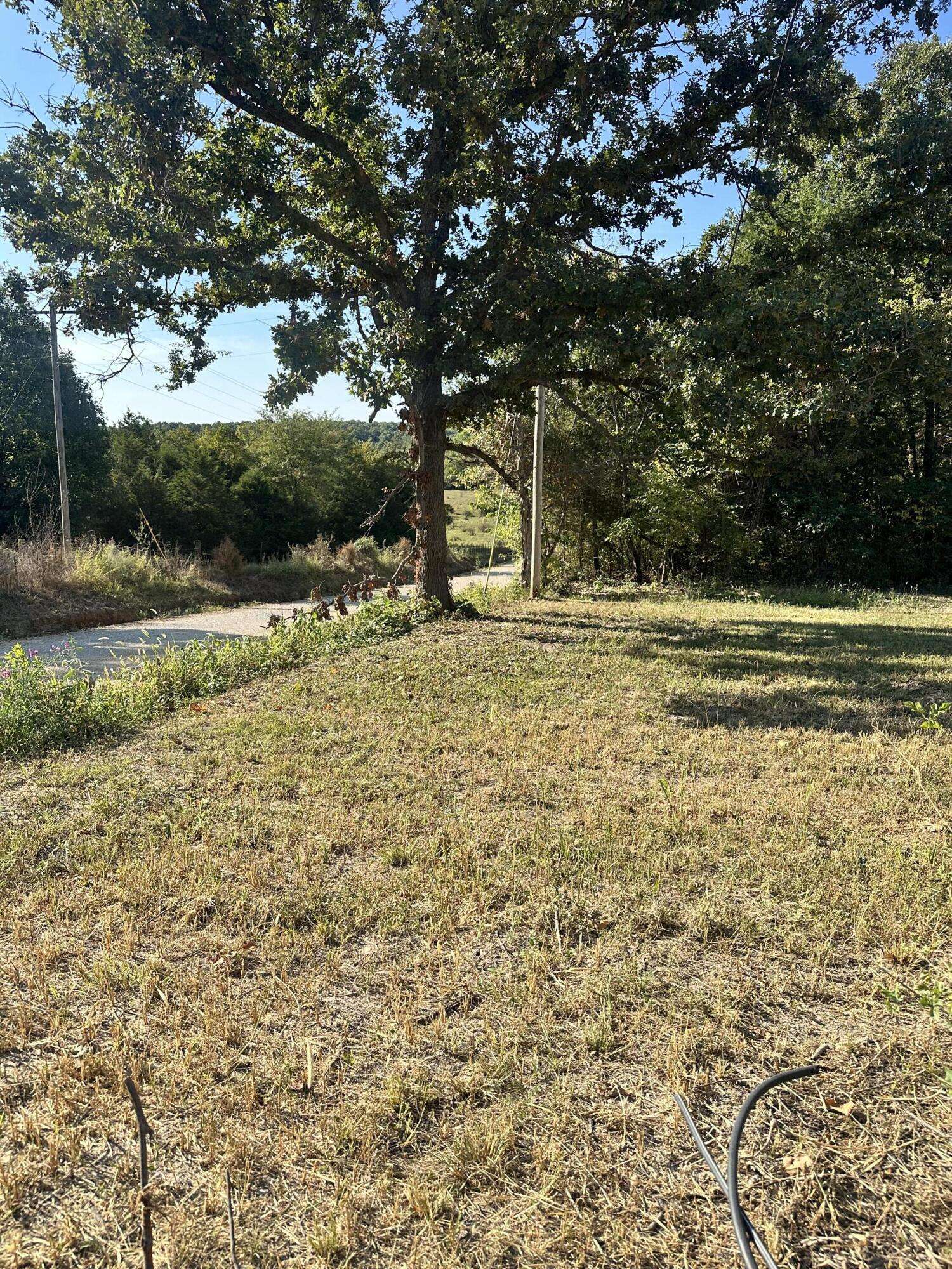 Conway, MO 65632,420 E Beal ST