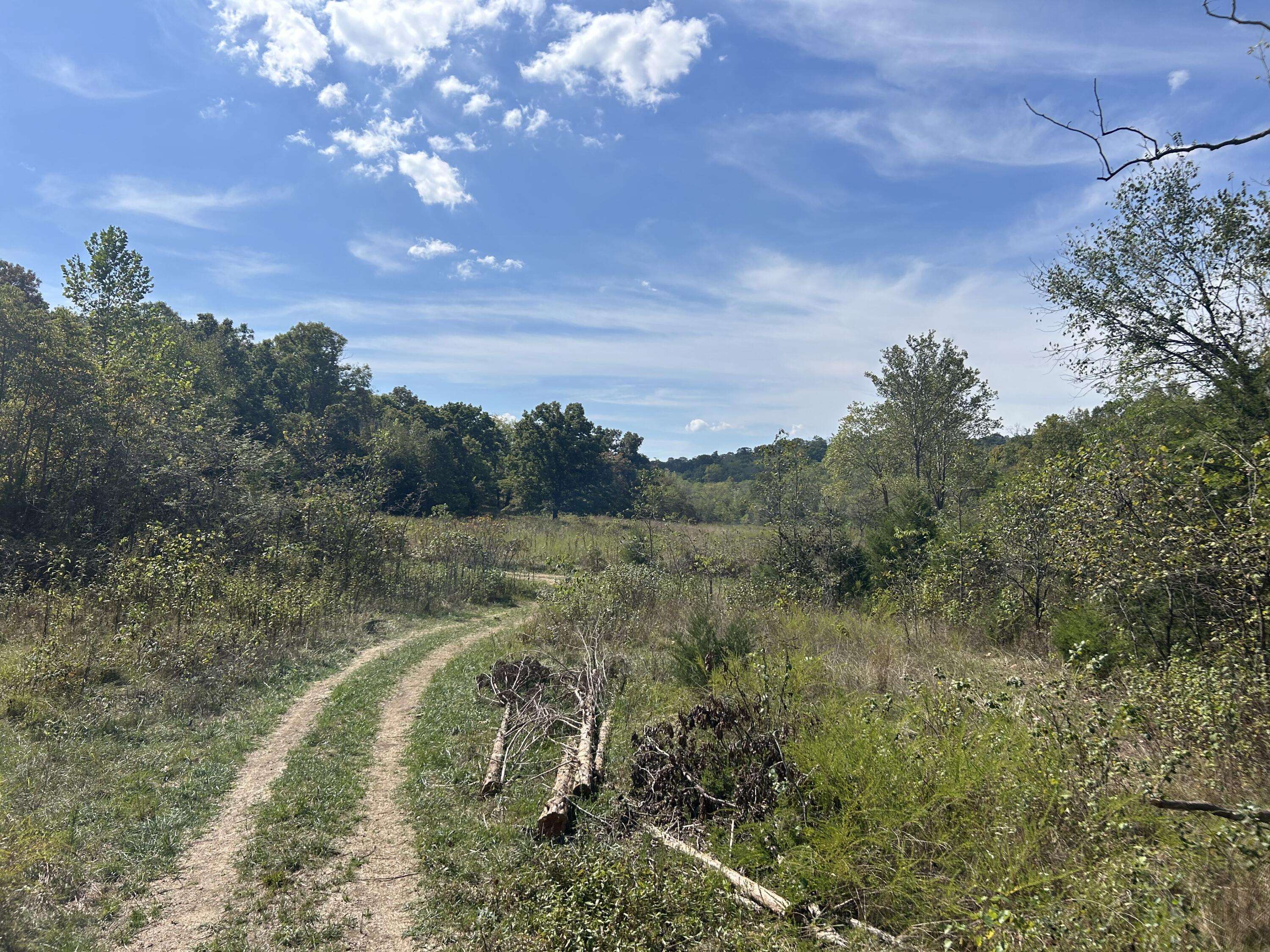 Macomb, MO 65702,0 Enchanted Meadows Private DR #Lot 24