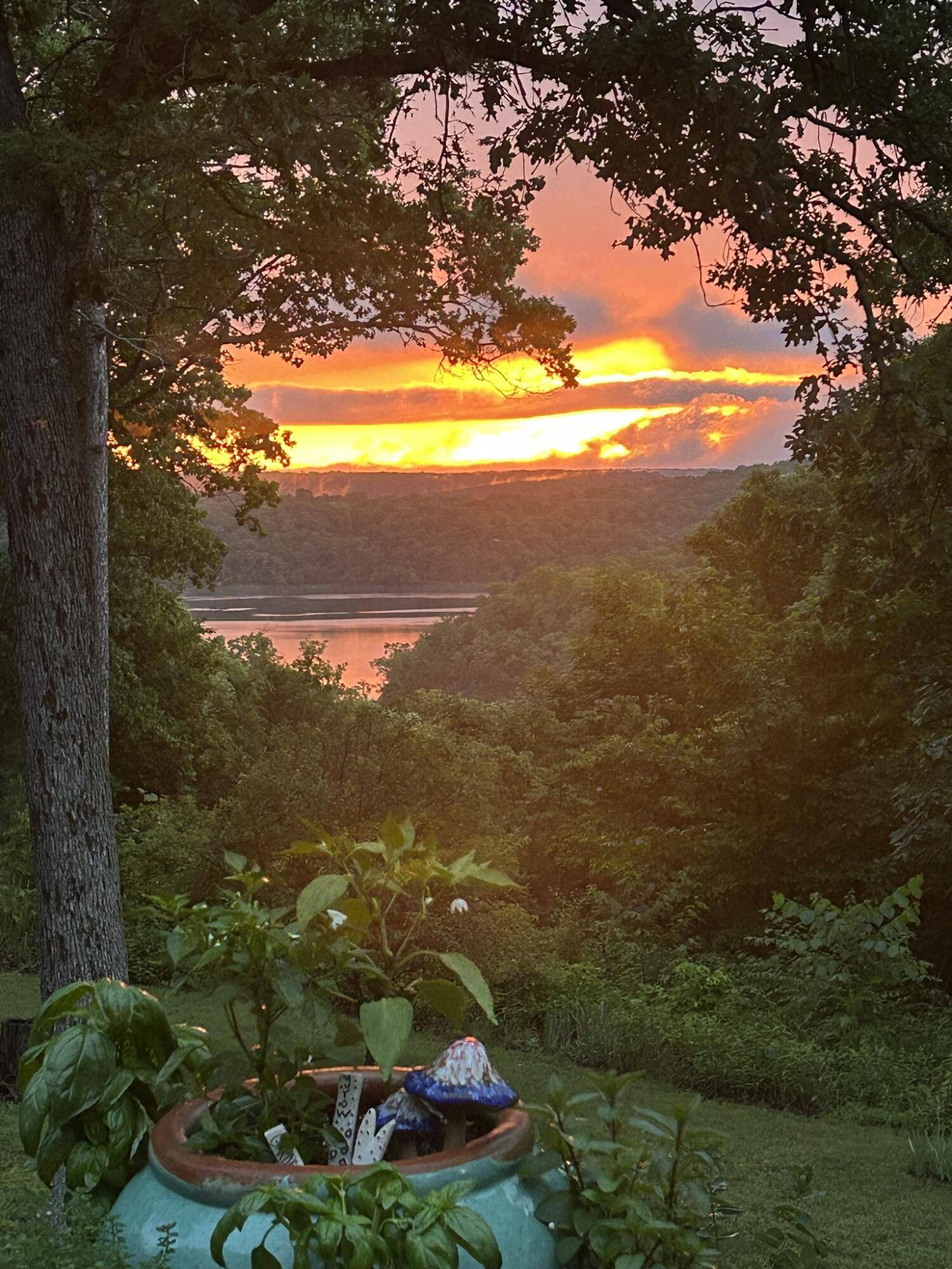 Kirbyville, MO 65679,2050 Savage RD