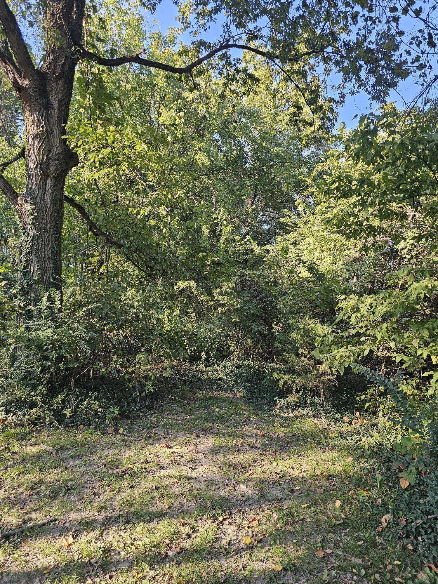 Goodman, MO 64843,000 Garner ST