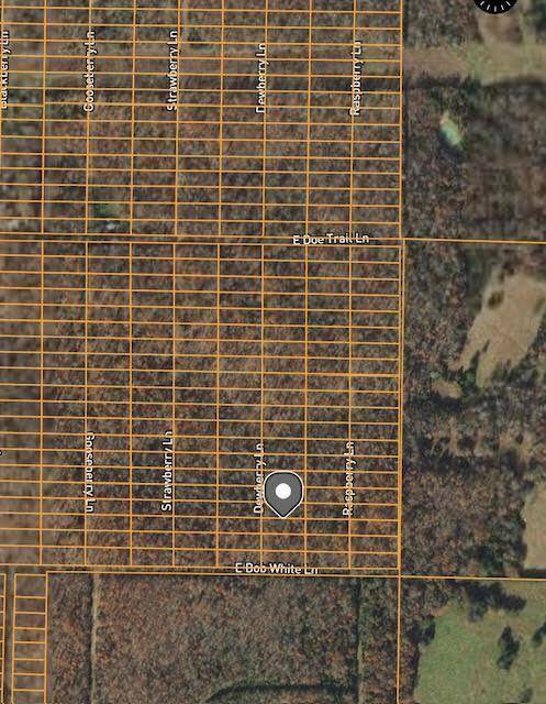 Horseshoe Bend, AR 72512,1308 Dewberry LN