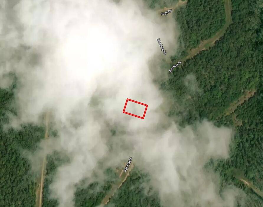 Horseshoe Bend, AR 72512,409-2 Ash Flat DR