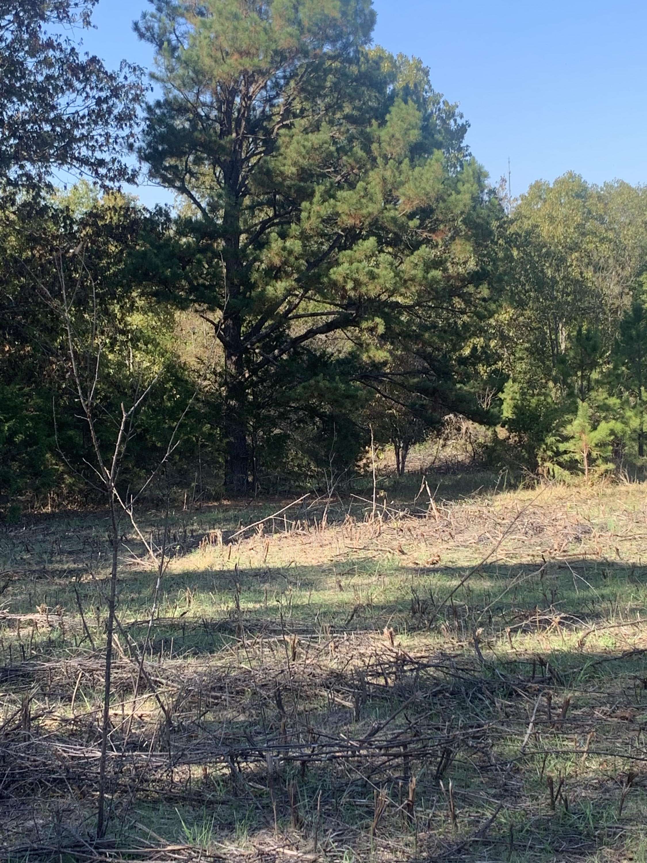 Ava, MO 65608,Tbd Highway Kk