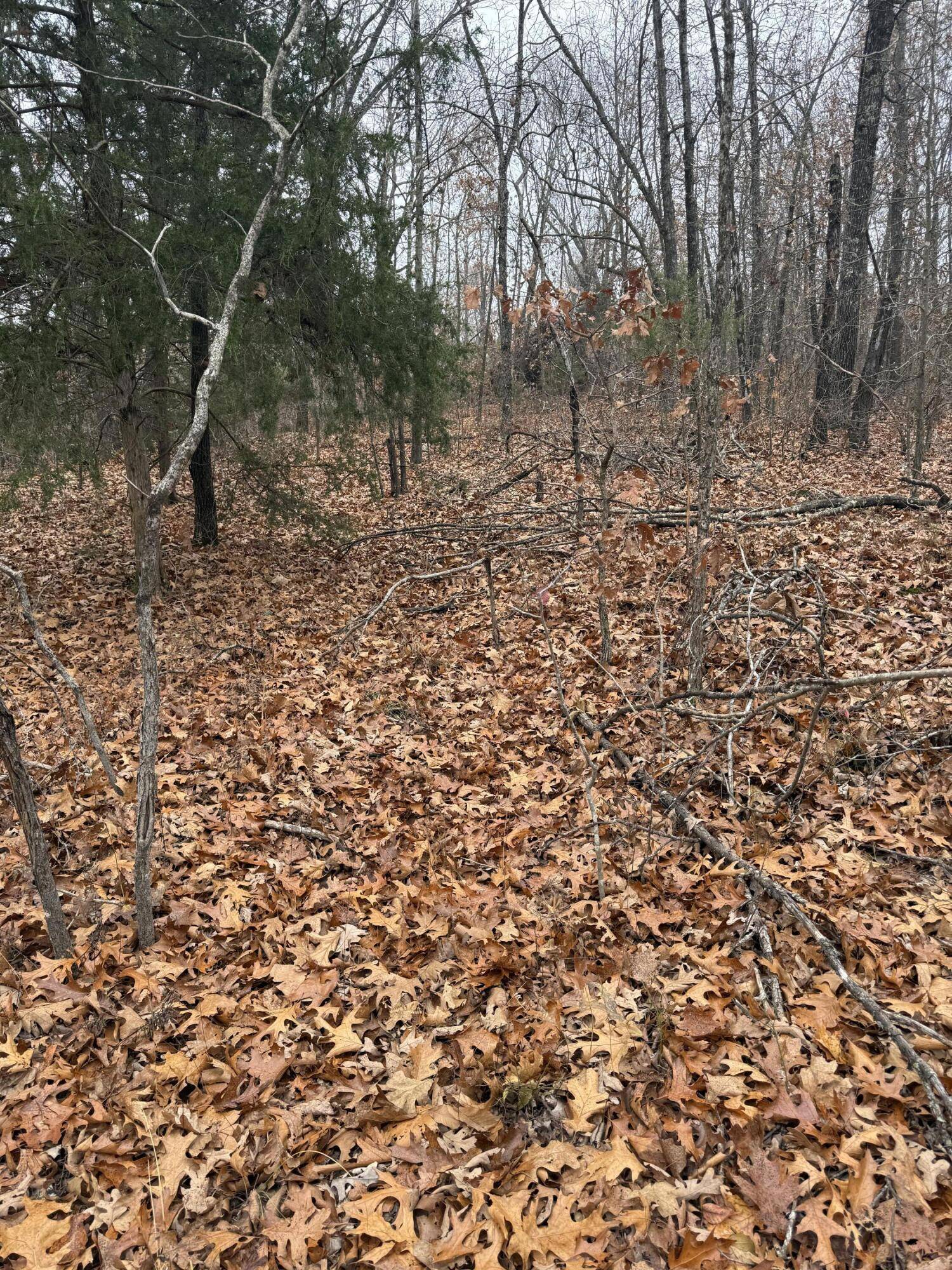 Grovespring, MO 65662,000 Pecan Drive