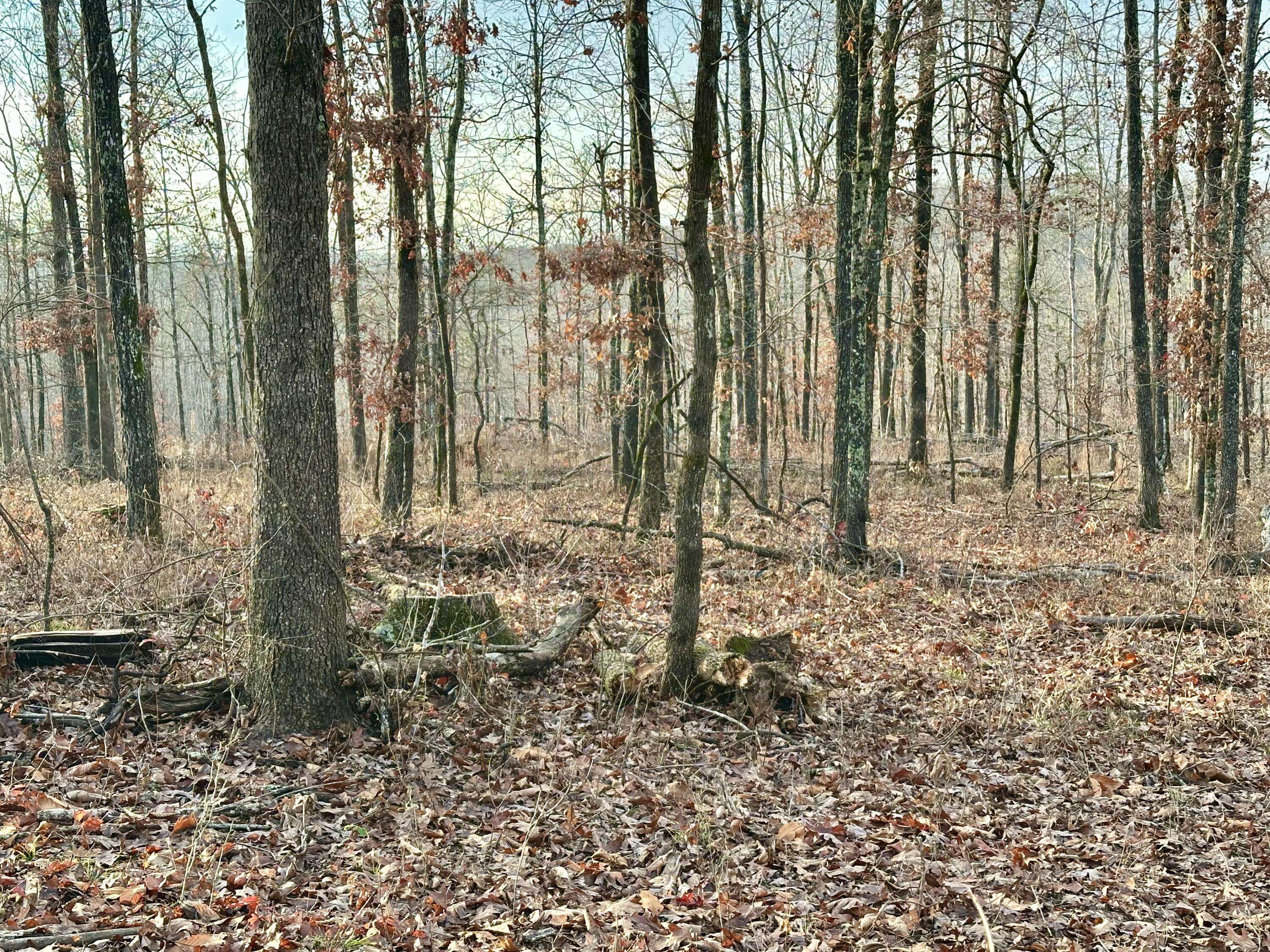 Van Buren, MO 63965,000 County Road 123 Tract-A