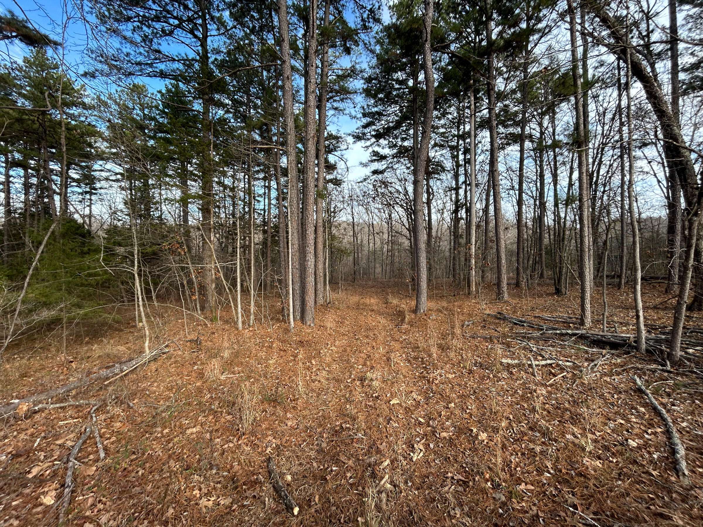 Cabool, MO 65689,000 Berry Road