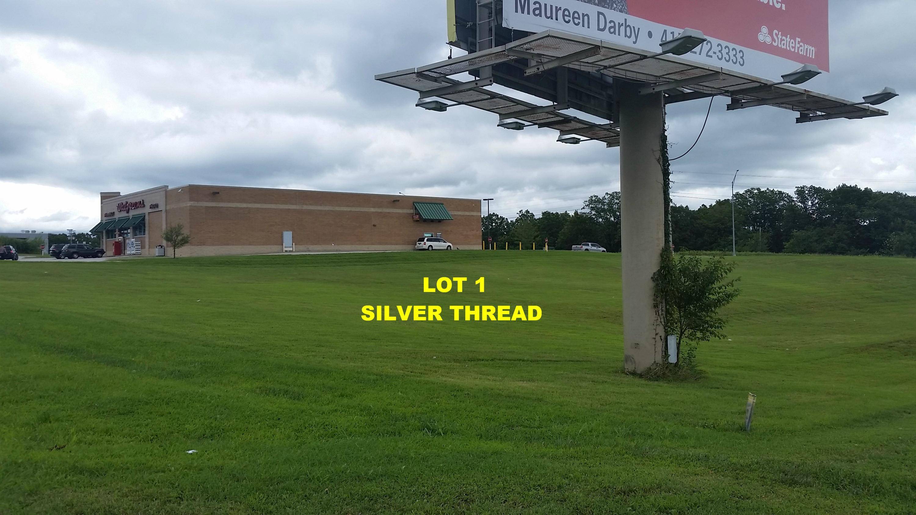 Branson West, MO 65737,18300 Business 13