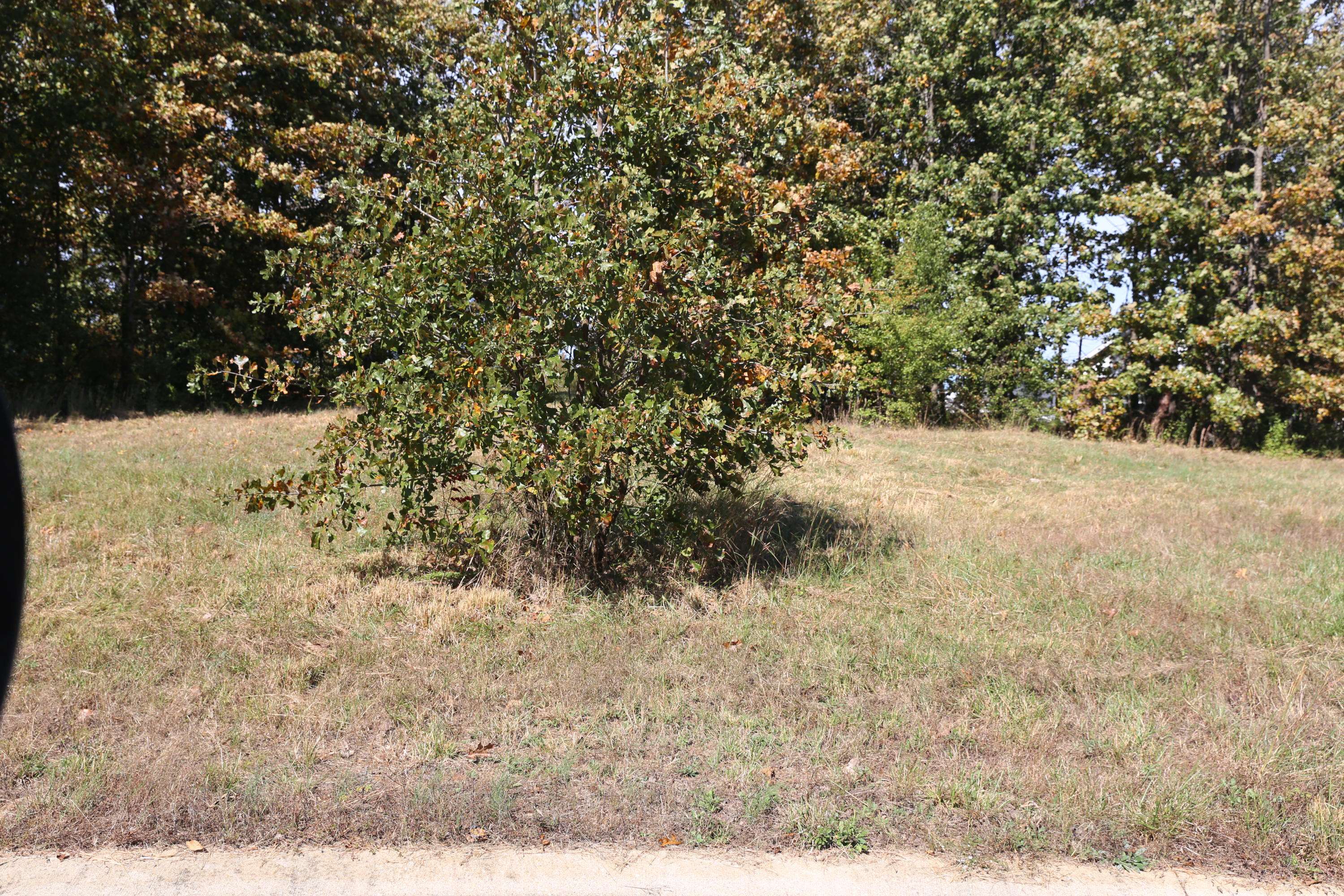 West Plains, MO 65775,000 Wild Turkey Road #Block 1 Lot 13