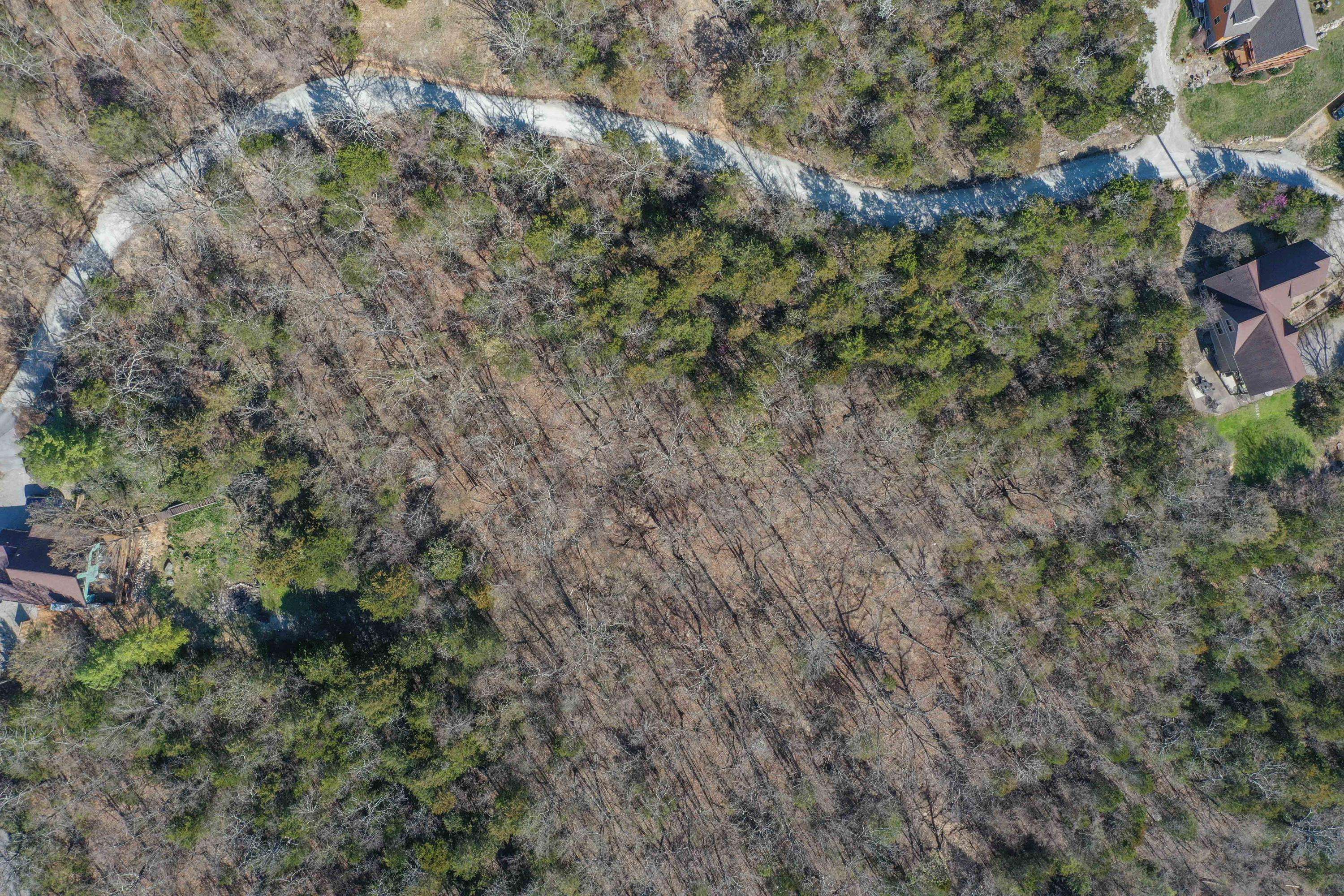Kimberling City, MO 65686,Lot 37-39 Cardinal Cove Lane