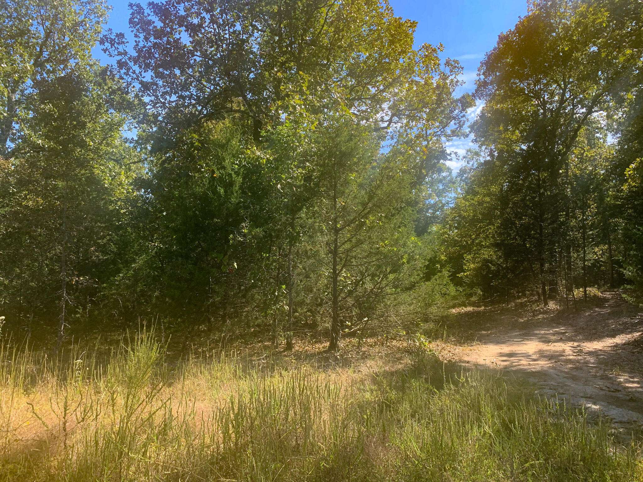 Protem, MO 65733,000 Pine Hollow Road