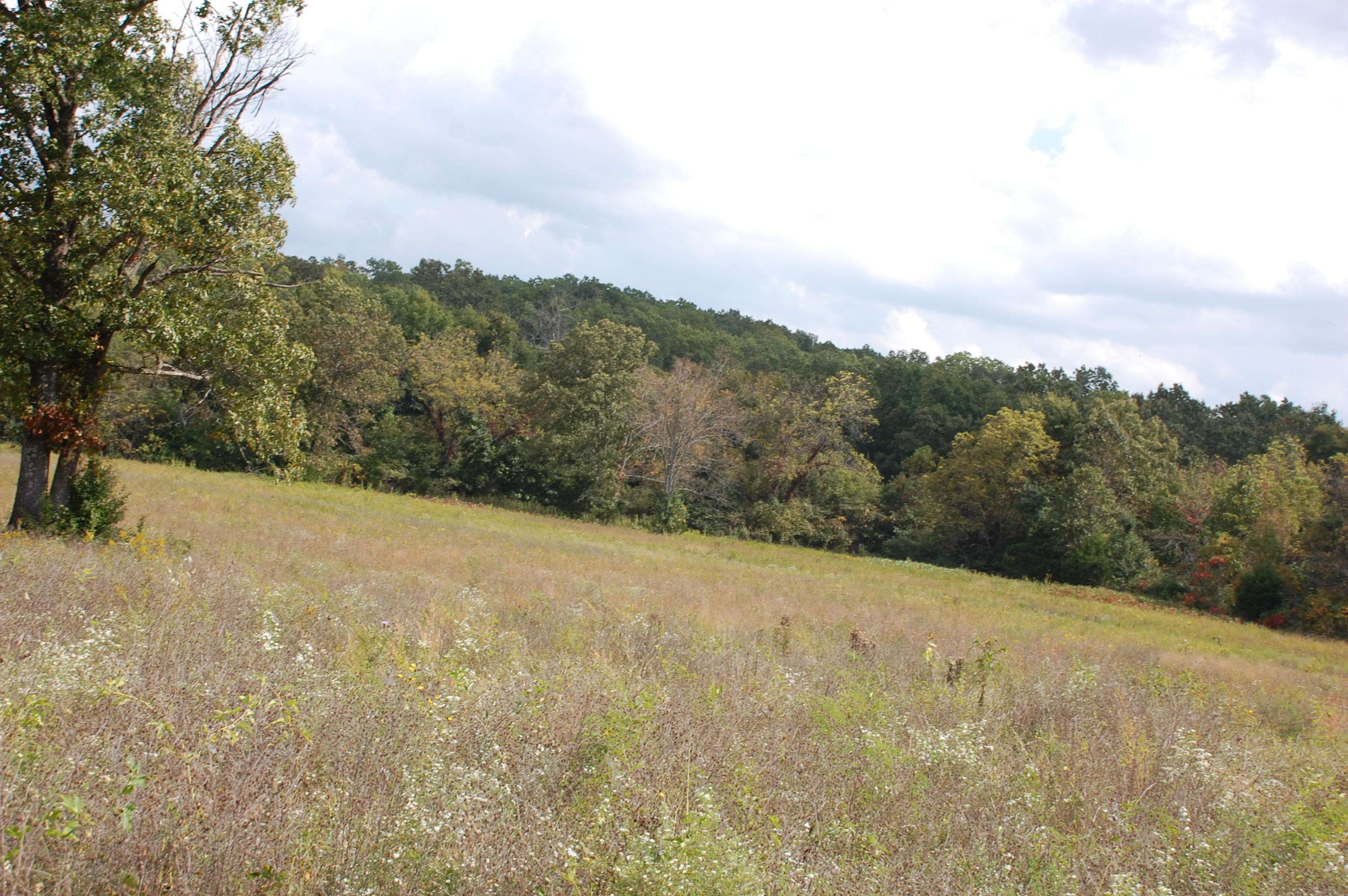 West Plains, MO 65775,000 County Road 8490