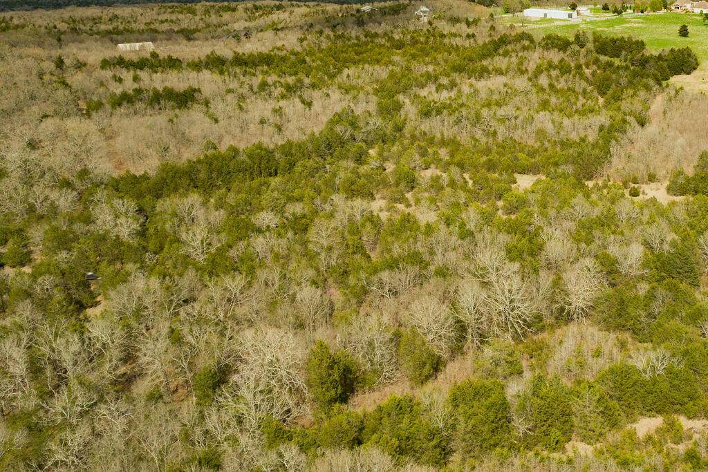 Kirbyville, MO 65679,Lot 13 Old Well Lane