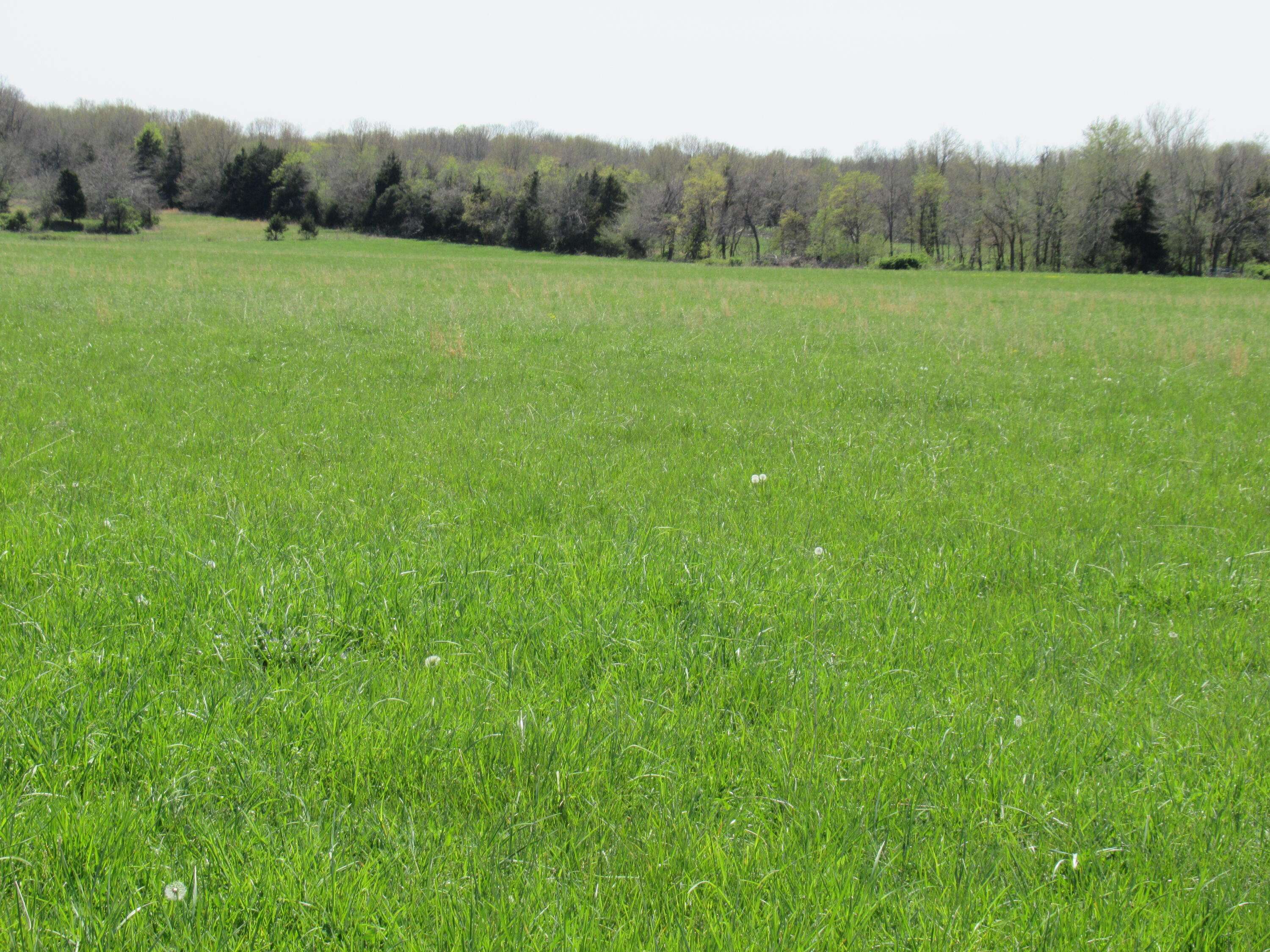 Dunnegan, MO 65640,4021 S 62nd Road