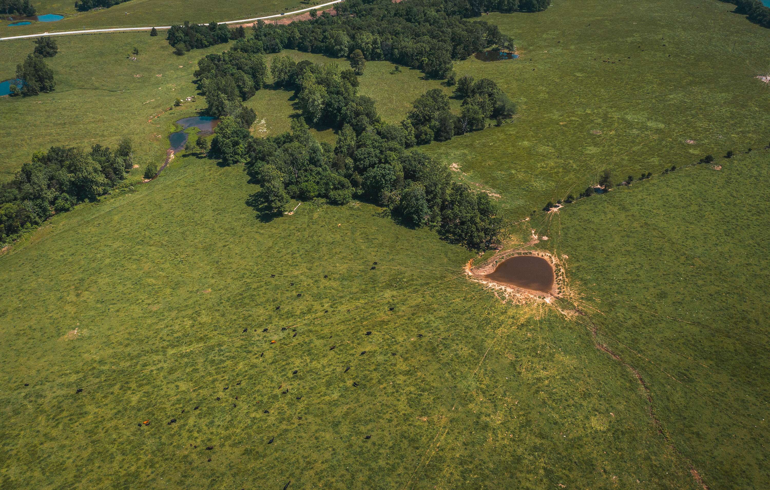 Golden, MO 65658,000 Farm Road 2265