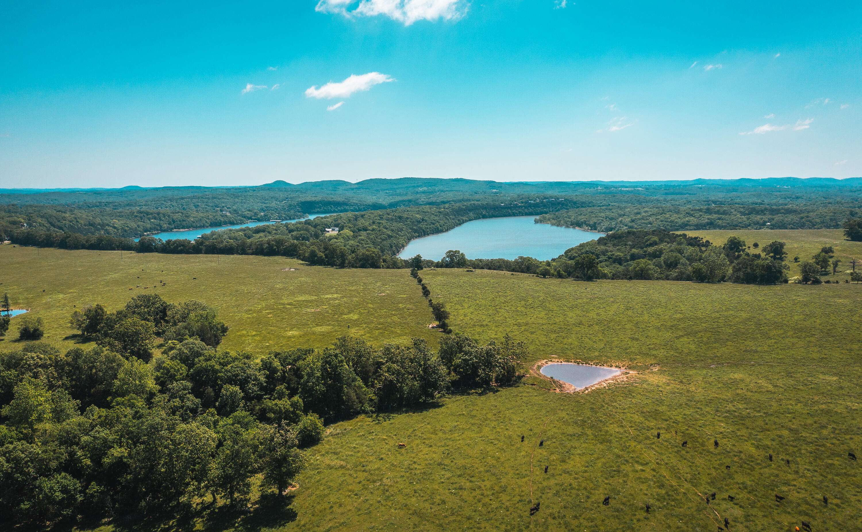 Golden, MO 65658,000 Farm Road 2265