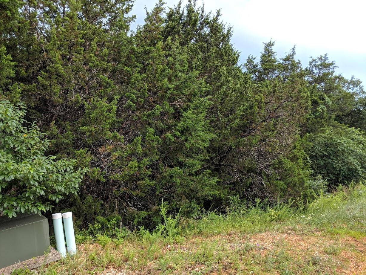 Kimberling City, MO 65686,Lot 203 Silver Sunset Lane