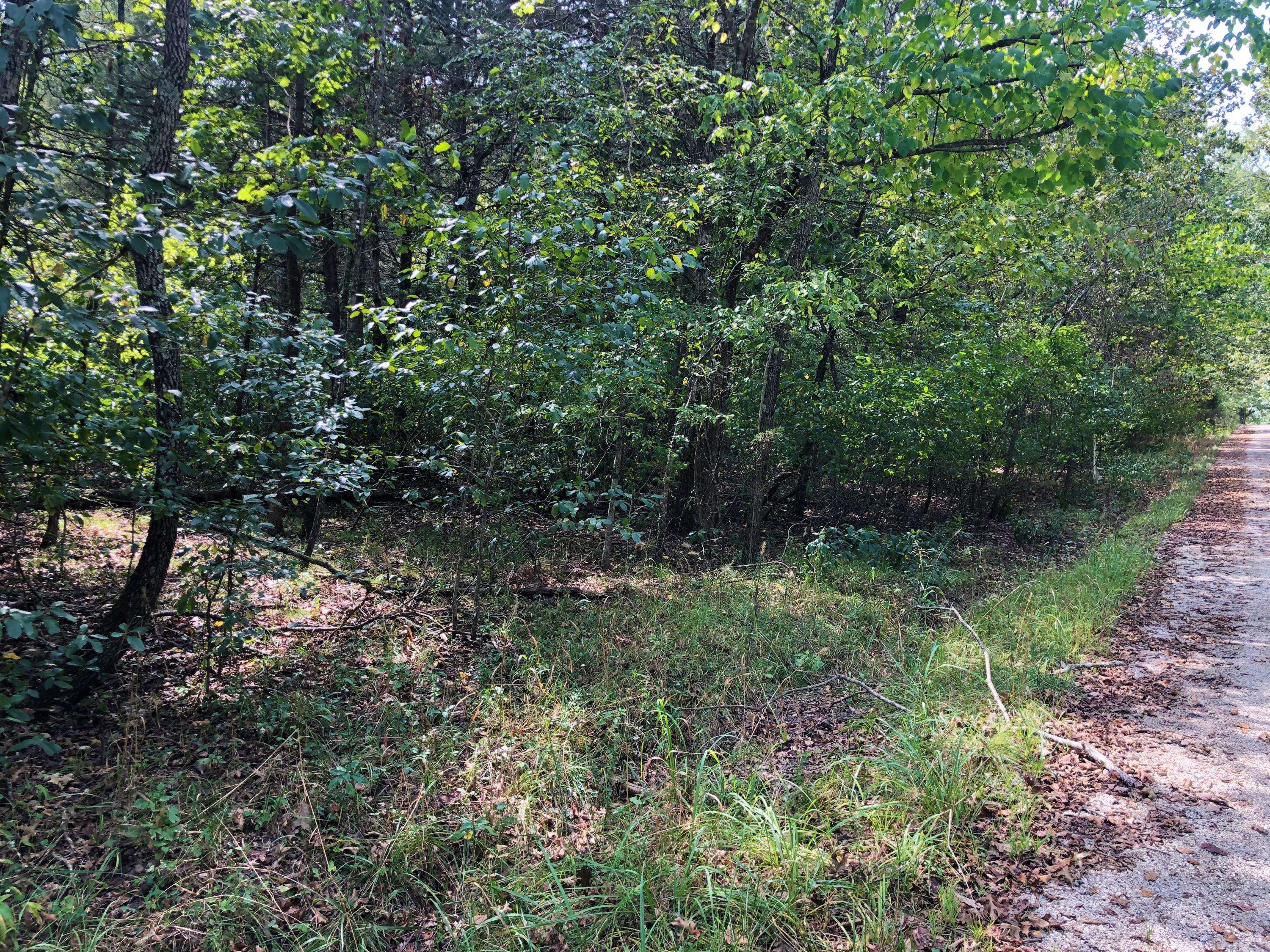 Golden, MO 65658,000 A Drive