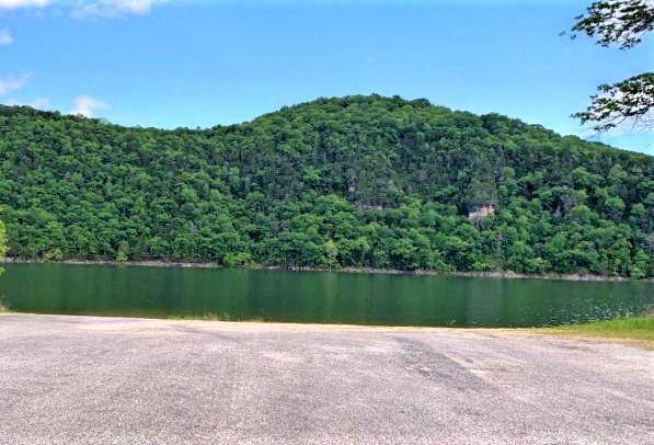 Golden, MO 65658,000 A Drive
