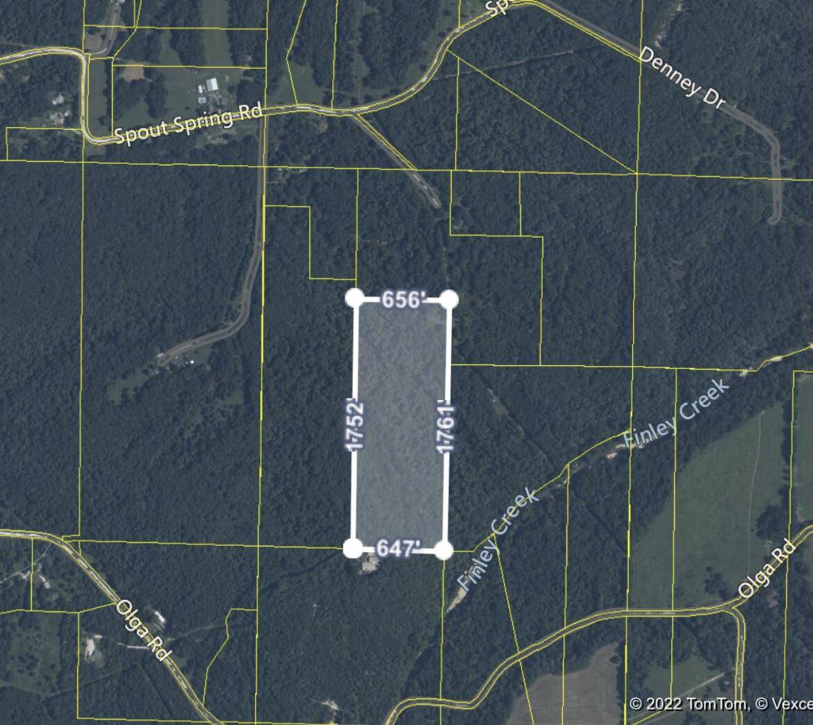 Fordland, MO 65652,000 Spout Springs Road