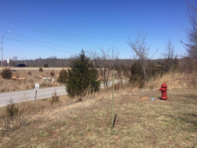 Battlefield, MO 65619,4221 W Sandy Street